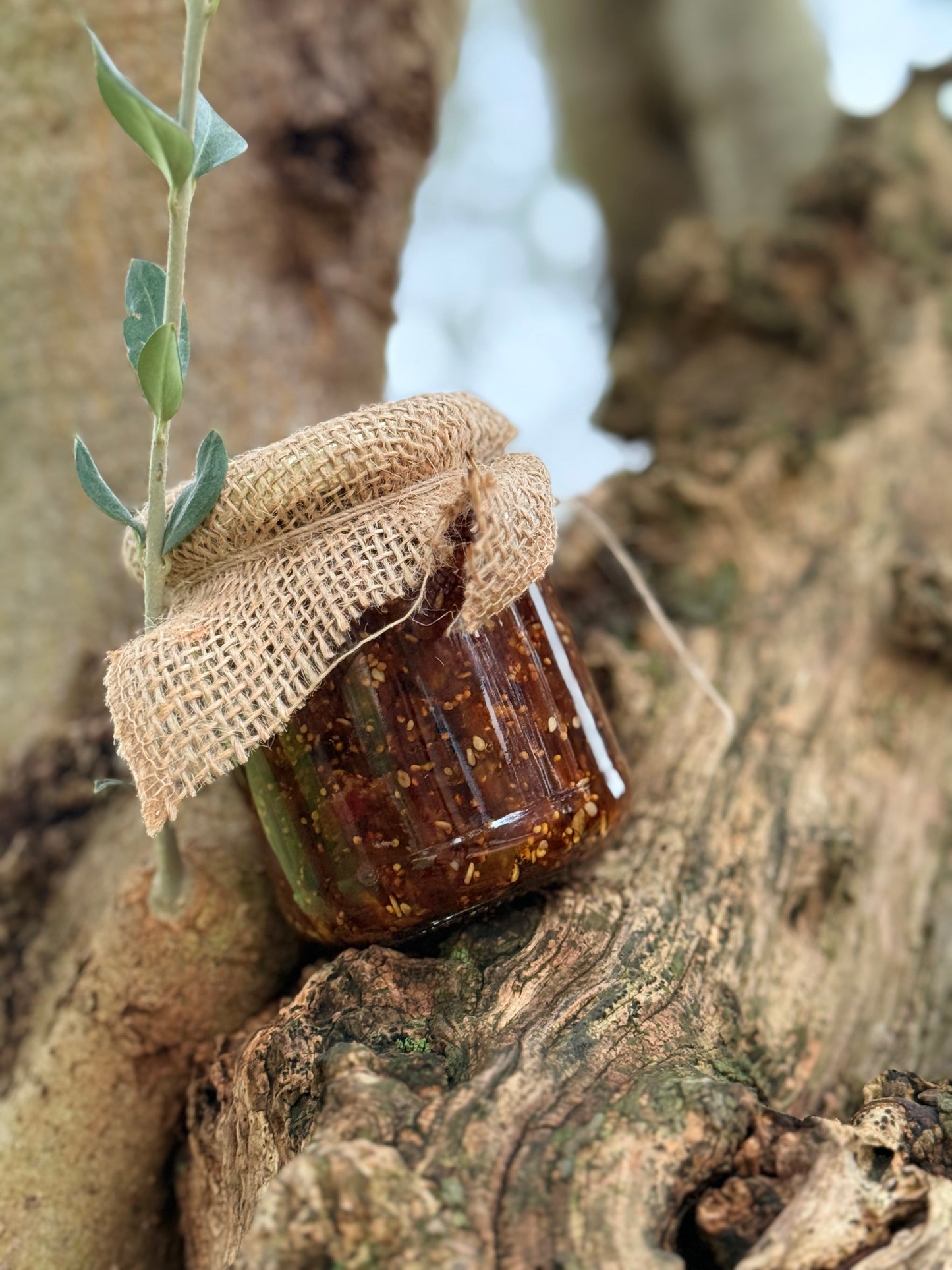 COFFRET PRESTIGIEUX✨